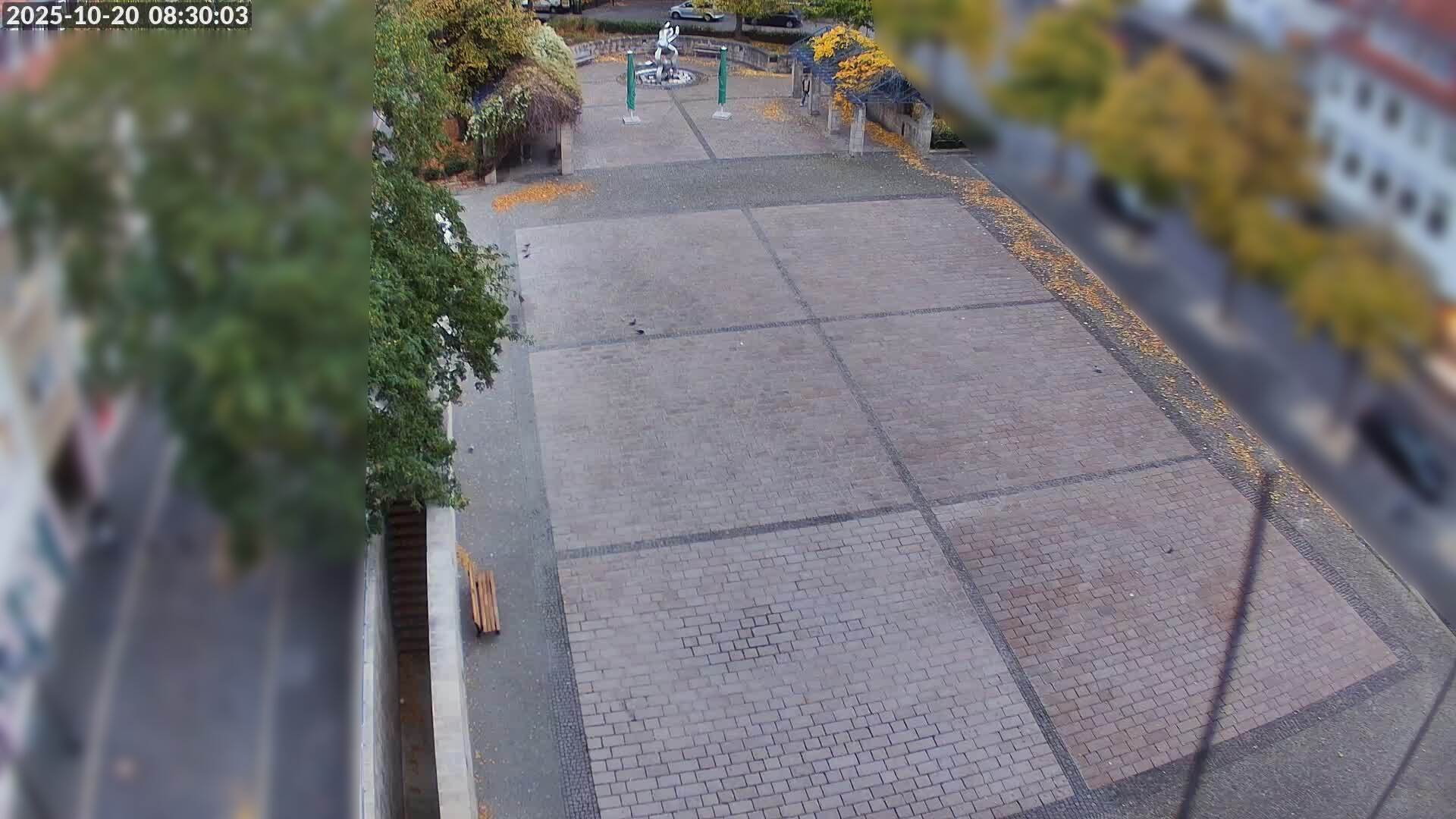 Fotowebcam