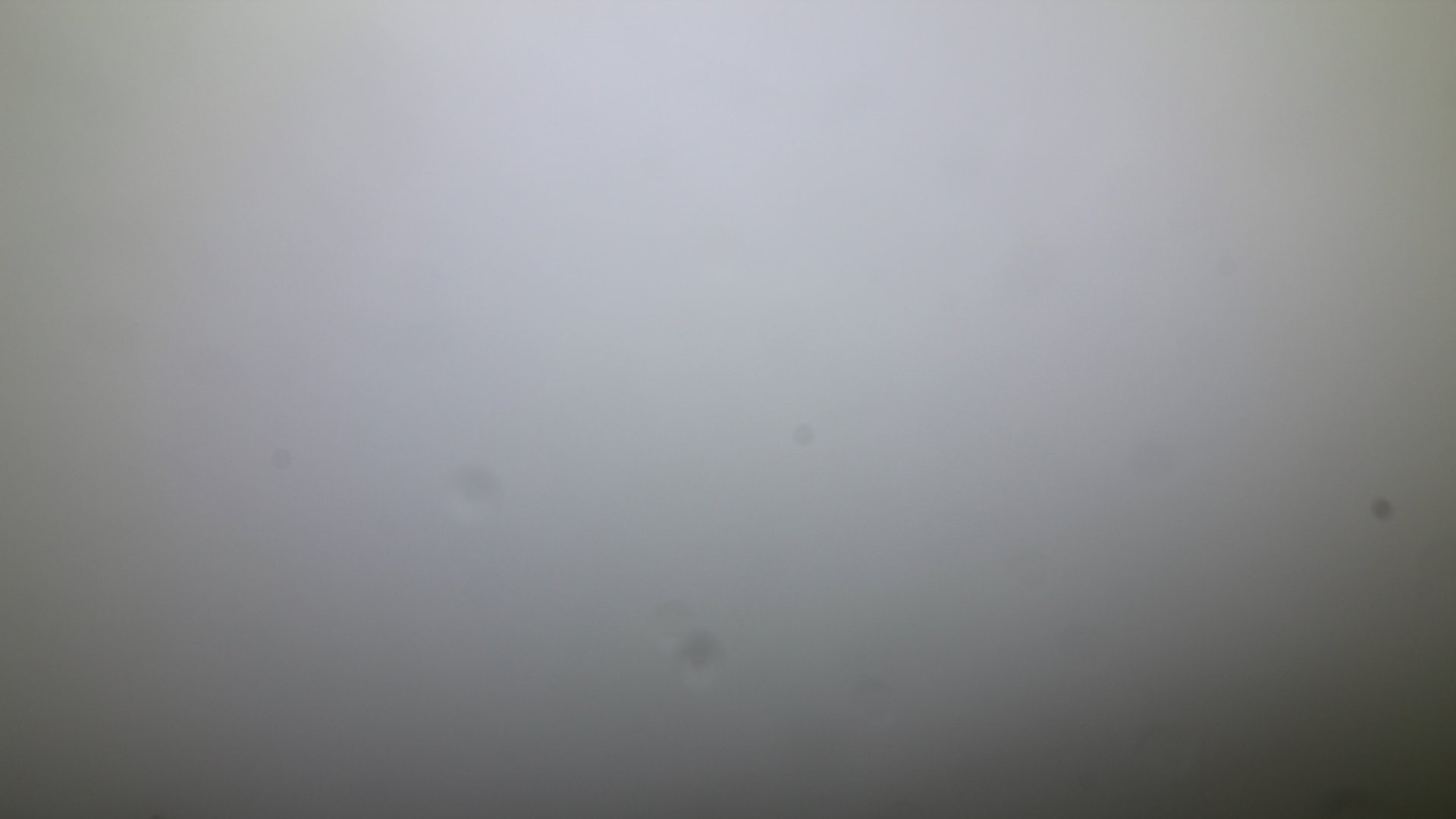 Fotowebcam