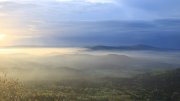 Hochwald-Ost