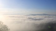 Hochwald-Ost