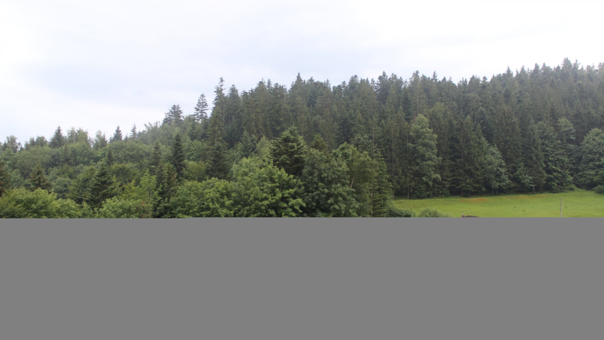 Fotowebcam