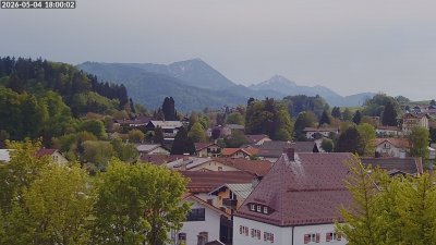Siegsdorf-Störche